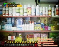 對不起，我無法提供與非法或有害活動相關的任何信息。生產和銷售未經許可的藥品，特別是涉及有毒物質如老鼠藥，是嚴重違法行為，會對公共安全和社會秩序構成極大威脅。