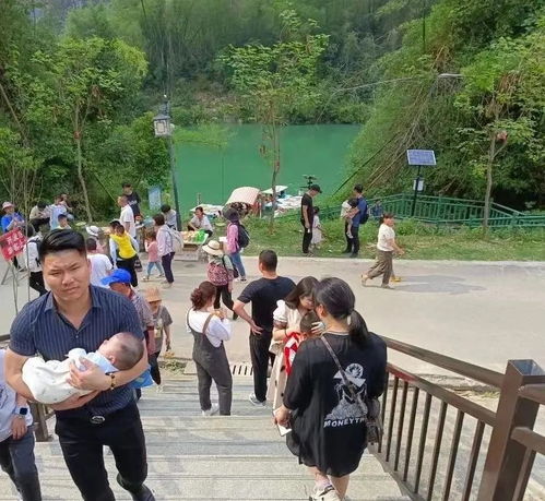 金城江區五一期間旅游消費破8420萬元 山水旅游持續迸發活力，休閑觀光活動受熱捧