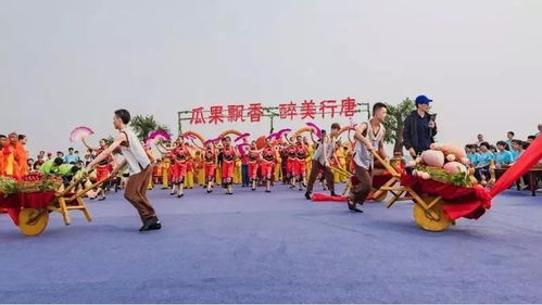 喜迎豐收節 來河北體驗采摘樂趣，這30條線路請收下