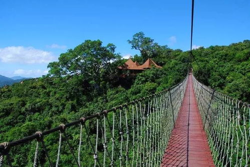 收拾行李來三亞吧 三亞旅游攻略走心整理，你一定想要