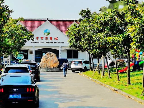 東方瓜果城 農耕樂趣的瓜果樂園，采摘與觀光的完美目的地