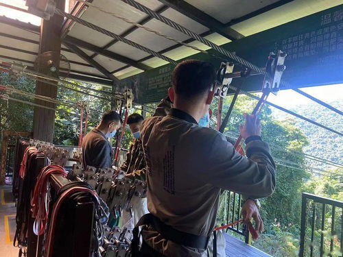 三亞維景國際度假酒店工會會員健康游普惠活動 休閑觀光之旅，開啟職場與自然的完美融合
